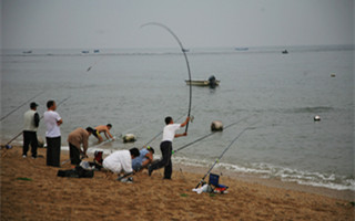 海钓的饵料选择技巧及用法