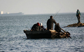 八种常用的海钓活鱼钓饵
