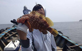 海钓大鱼的巧妙防咬钓组介绍