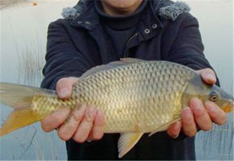 冬季钓鱼几个易被忽视的小技巧