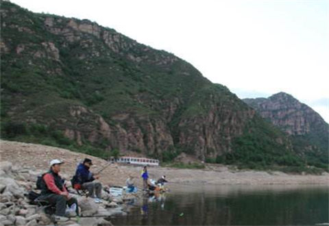 想要准确抓住鱼口，这里有实用浮漂调钓方法