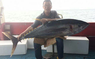 鱼乐号南油海钓猛擒130斤重大金枪鱼