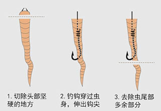 简单易懂，一目了然的海钓钓饵挂法