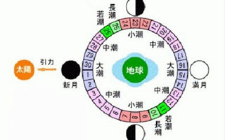 图文解读海钓的潮汐规律心得技巧