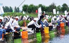 了解中国鱼协如何更好的服务钓鱼人