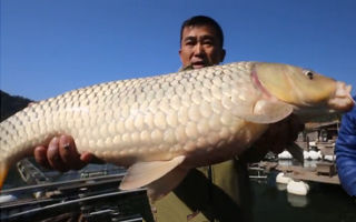 破损浮漂的修复方法大全
