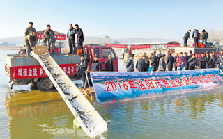 河南洛阳开展增殖放流活动 15日内放流区域禁止垂钓