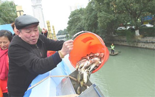 浙江瑞安：河道治理显成效，15万尾鱼儿安“新家”