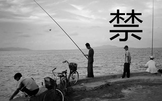 重庆市3月1日起禁渔 江边钓鱼将被罚款