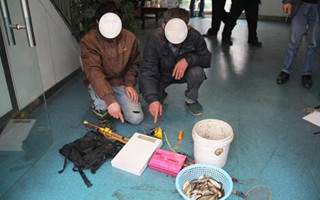 江津区禁渔首日 查获电鱼案三起四人