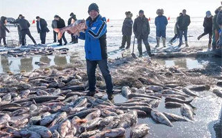 查干湖渔猎——千年不变的古老冬捕