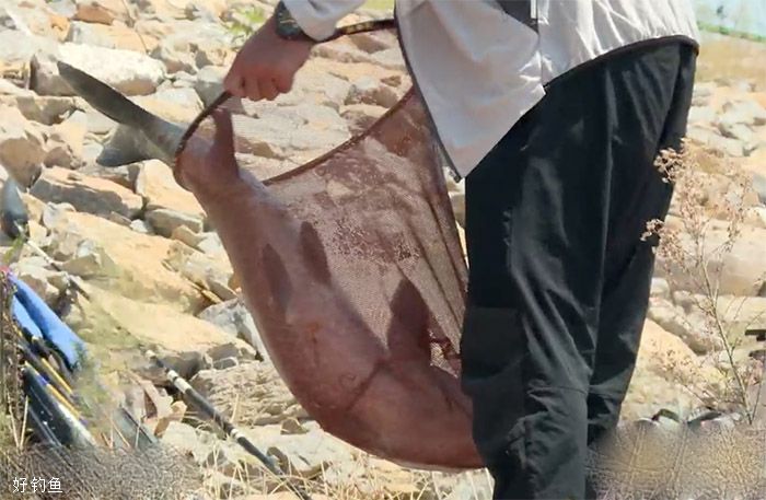 游钓中国第三季29集 不到岛上钓不到 钓获大青鱼 [视频]