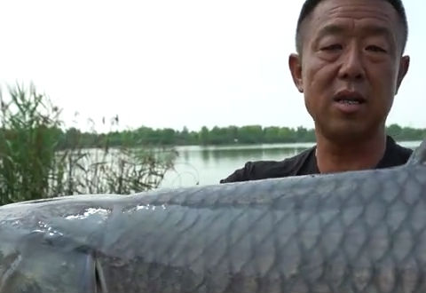 游钓中国第三季30集 船送滑漂放竿太白湖 不在窝点也能频频中鱼 [视频]