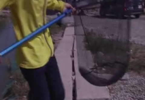 猎青第十八期 遭遇突然停口 看老瑭如何应对 [视频]