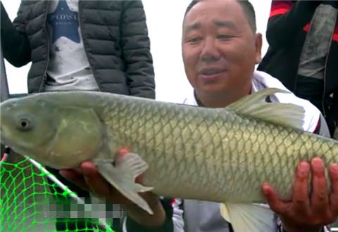 钩尖江湖之钓鱼的故事03 回望镇江 与您发生的故事 [视频]