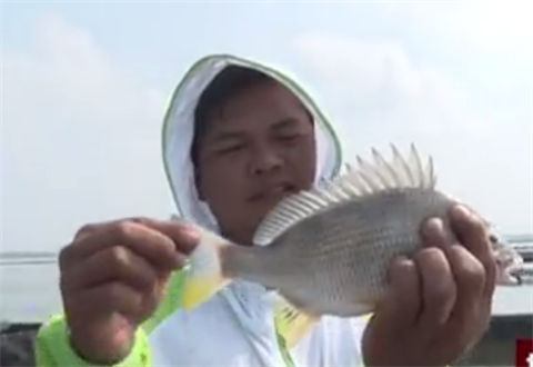 筏钓江湖第二季40期 近海筏钓 老胡喜获大石斑 [视频]