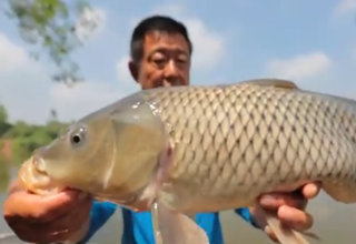 跟着大毛学钓鱼第21集 火箭湖奇遇记 [视频]