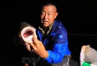 跟着大毛学钓鱼第28集 夜守清江站巨鲢 [视频]