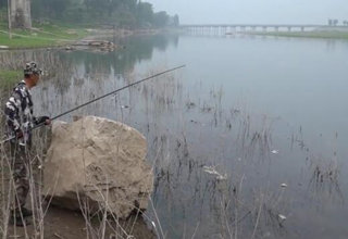 三本先生：雷强黑鱼之河流 水库弯口逗钓大黑鱼 [视频]