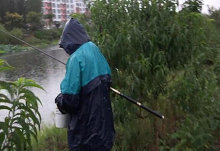 三本先生：传统钓法之河道水草处 选点垂钓鲫鱼 上 [视频]
