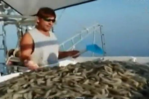 破浪捕白虾06 人员落海 意外落水危在旦夕 [视频]