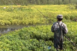 三本先生：传统钓之水草茂密的河流选点试钓鲫鱼 [视频]