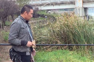 三本先生：传统钓之四哥桥边钝口钓鲫鱼 [视频]