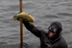 钓鱼出奇招第二季05：潜入冰河叉大魚 [中文字幕视频]