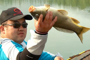 遍钓天下之钓行江湖06 后所屯水库钓鲤鱼 [视频]