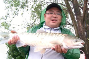 遍钓天下之钓行江湖08 安徽浅面塘水库抛竿钓草鱼 [视频]