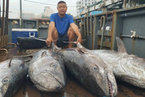 深海船钓之中沙群岛游钓大物收获满满 [视频]
