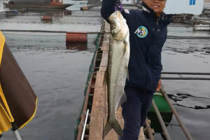 万峰湖筏钓米级翘嘴遛鱼上鱼全过程 [视频]