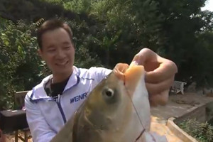 CCTV我爱发明之鲢鱼欢乐钓 新型饵料盒 [视频]