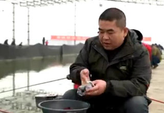 大鹏带你去黑坑 如何开制 红虫 饵料 [视频]