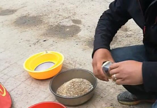 陪着地瓜去钓鱼之北京潮凤湖鲤鱼 [视频]