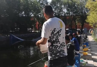 陪着地瓜去钓鱼之地瓜速钓俱乐部 [视频]