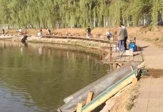 陪着地瓜去钓鱼之地瓜爱上潮凤湖 [视频]