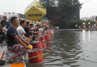 陪着地瓜去钓鱼之北京城外城鲫鱼(下)  [视频]