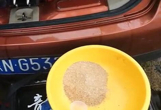 地瓜饵料大厨房 工程鲫开饵方法 [视频]