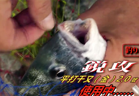 钓具工房：一路向西 三步曲第一天 码头篇 [视频]