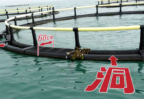钓具工房：一路向西 第三天 纪洲钓鱼排 [视频]