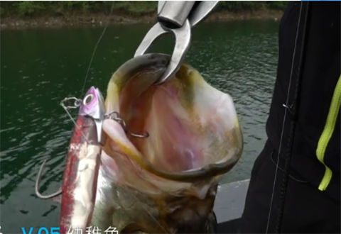小汐路亚：实战深水米翘 下篇 南盘江搜飞笼阵 [视频]