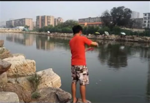 小松路亚 路亚鲶鱼 [视频]