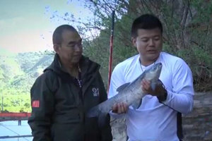 cctv5游钓江湖：平谷桃花沟黑坑搏大草鱼 [视频]