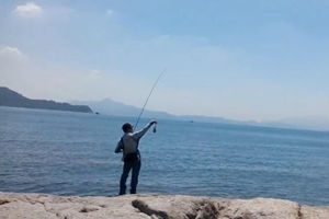 夏季海岸礁石矶钓之木虾抽鱿鱼之行 [视频]