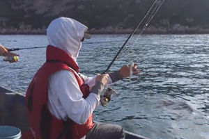 海上船钓第一天 海钓下钩就咬拉到手发酸 [视频]