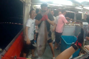 海钓游之海上夜钓擒获50斤大章红 [视频]