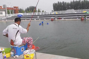 地瓜钓鱼：中秋河北武强黑坑偷驴记（上） [视频]