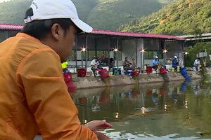 非常黑坑第03期 饵料味型怎么搞 [视频]
