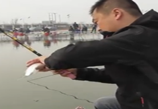 陪着地瓜去钓鱼之天津静海永昌（上）[视频]